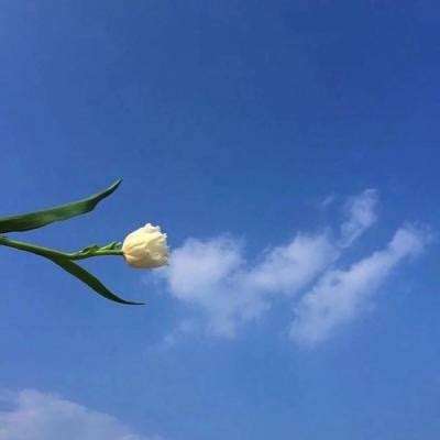 部落冲突老版本下载