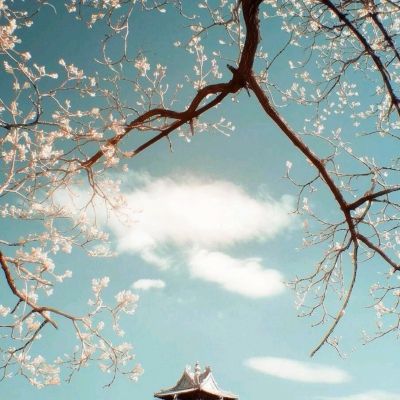 魔灵契约满v变态版下载
